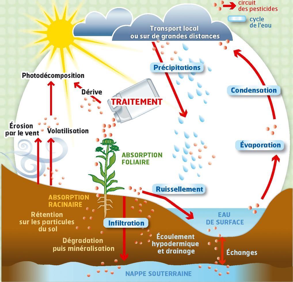 Schéma du circuit des pesticides dans l’environnement (source : lien horticole)