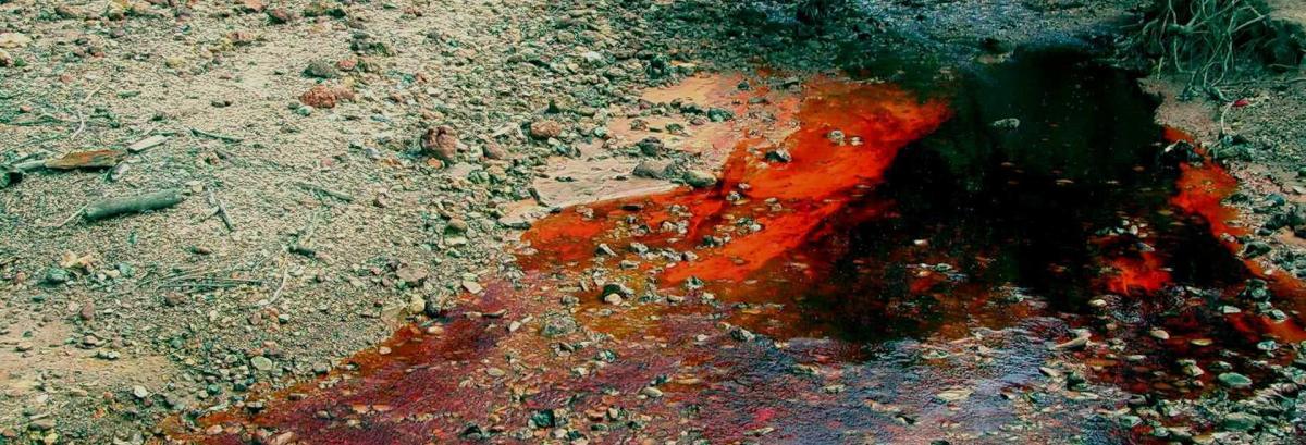 Illustration d'activité BASOL