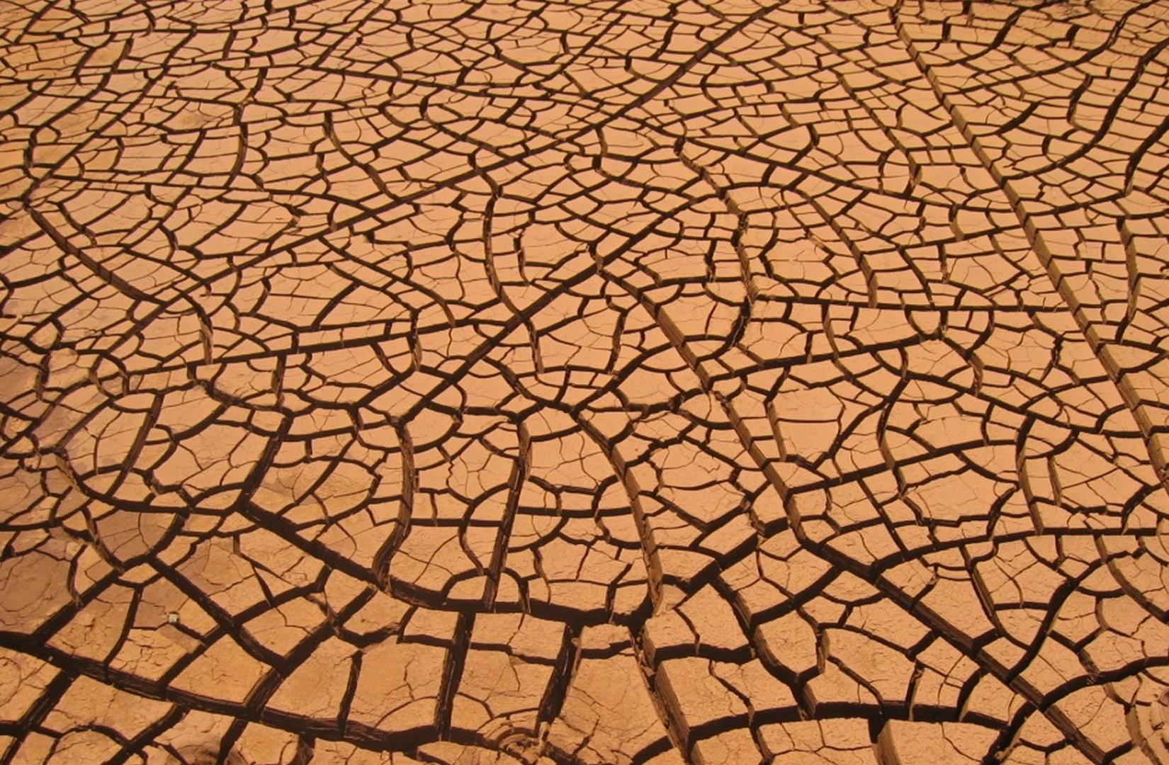 Fentes de dessication