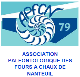 logo-APFCN-79
